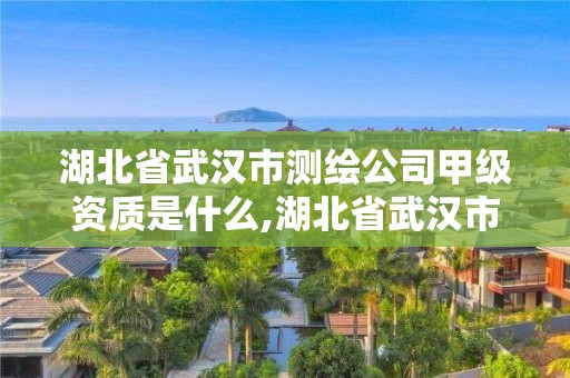 湖北省武漢市測繪公司甲級資質是什么,湖北省武漢市測繪公司甲級資質是什么。