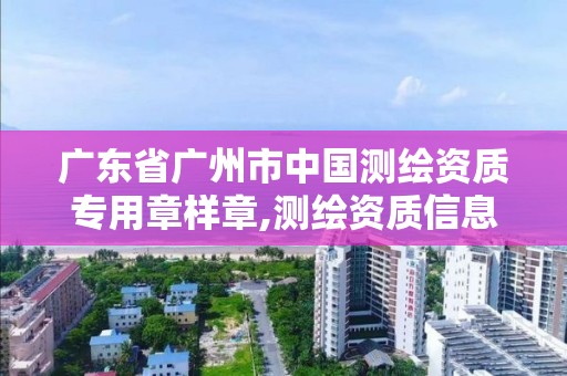 廣東省廣州市中國測繪資質專用章樣章,測繪資質信息網。