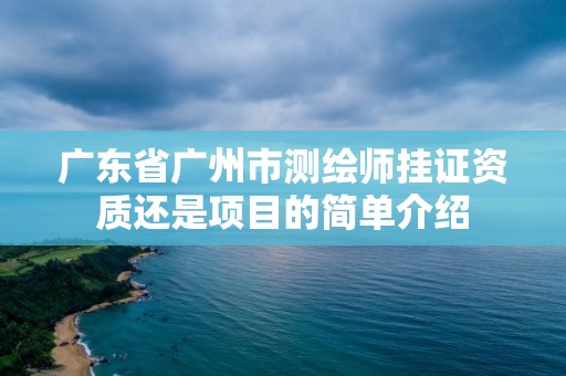 廣東省廣州市測(cè)繪師掛證資質(zhì)還是項(xiàng)目的簡(jiǎn)單介紹