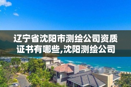 遼寧省沈陽市測繪公司資質證書有哪些,沈陽測繪公司哪家強哪家好。