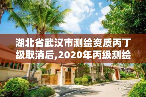 湖北省武漢市測繪資質丙丁級取消后,2020年丙級測繪資質會取消嗎。