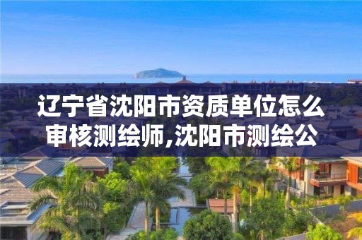 遼寧省沈陽市資質單位怎么審核測繪師,沈陽市測繪公司。