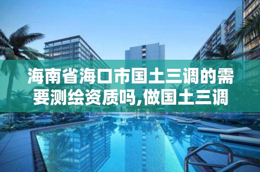 海南省海口市國土三調的需要測繪資質嗎,做國土三調項目怎么樣。