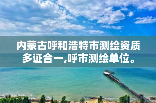 內蒙古呼和浩特市測繪資質多證合一,呼市測繪單位。