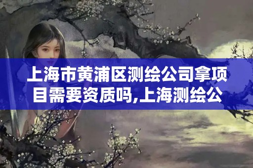 上海市黃浦區測繪公司拿項目需要資質嗎,上海測繪公司多嗎。