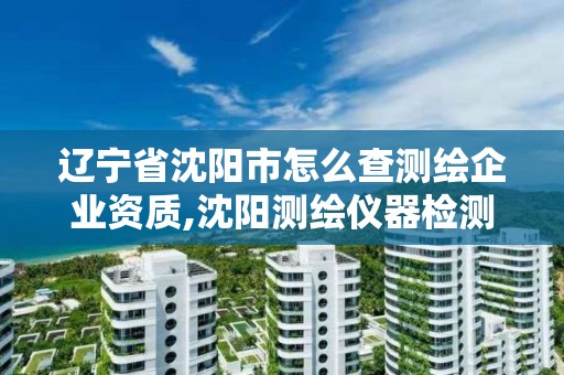 遼寧省沈陽市怎么查測繪企業(yè)資質(zhì),沈陽測繪儀器檢測單位。