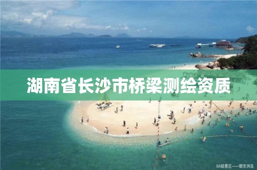 湖南省長沙市橋梁測繪資質(zhì)