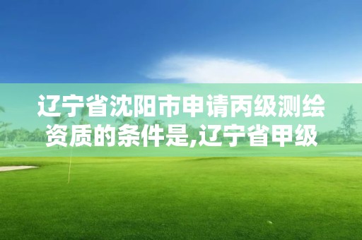 遼寧省沈陽市申請丙級測繪資質的條件是,遼寧省甲級測繪單位。