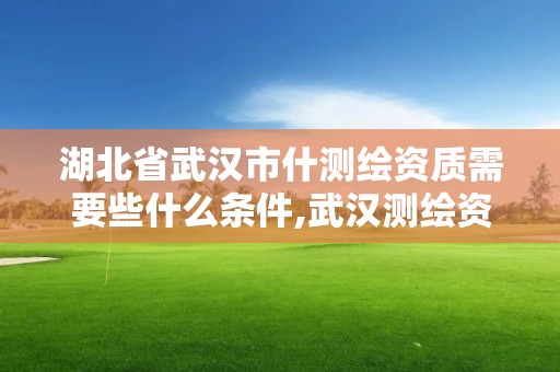 湖北省武漢市什測繪資質需要些什么條件,武漢測繪資質代辦。