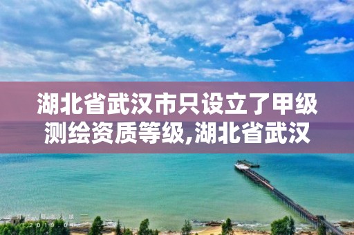 湖北省武漢市只設立了甲級測繪資質等級,湖北省武漢市只設立了甲級測繪資質等級嗎。