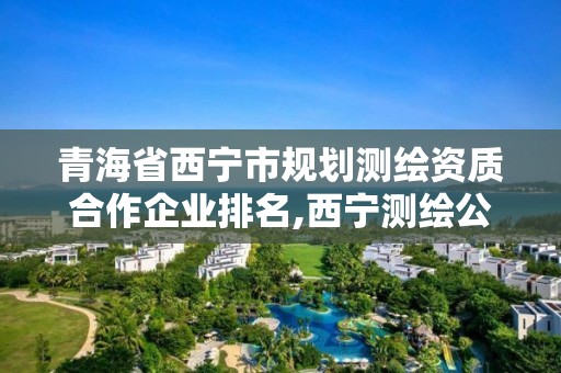 青海省西寧市規劃測繪資質合作企業排名,西寧測繪公司聯系方式。