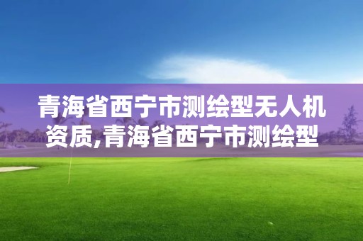 青海省西寧市測繪型無人機資質,青海省西寧市測繪型無人機資質查詢。