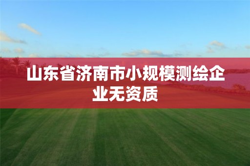 山東省濟南市小規模測繪企業無資質