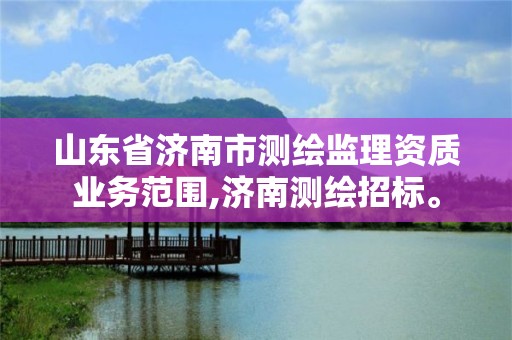 山東省濟南市測繪監(jiān)理資質(zhì)業(yè)務(wù)范圍,濟南測繪招標(biāo)。