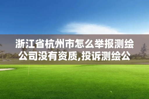 浙江省杭州市怎么舉報測繪公司沒有資質,投訴測繪公司電話。