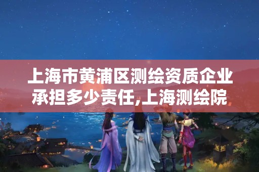 上海市黃浦區測繪資質企業承擔多少責任,上海測繪院上級單位。