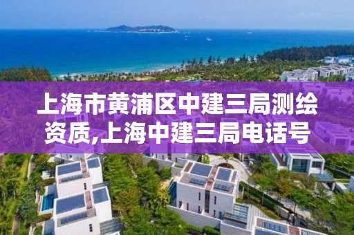 上海市黃浦區中建三局測繪資質,上海中建三局電話號碼多少。