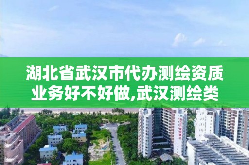 湖北省武漢市代辦測繪資質業務好不好做,武漢測繪類公司。