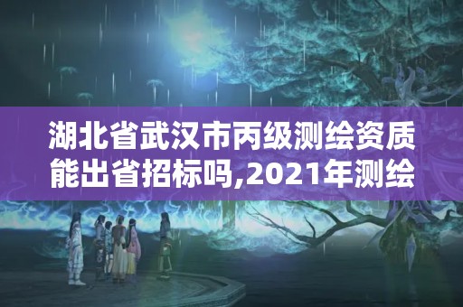 湖北省武漢市丙級測繪資質能出省招標嗎,2021年測繪丙級資質申報條件。