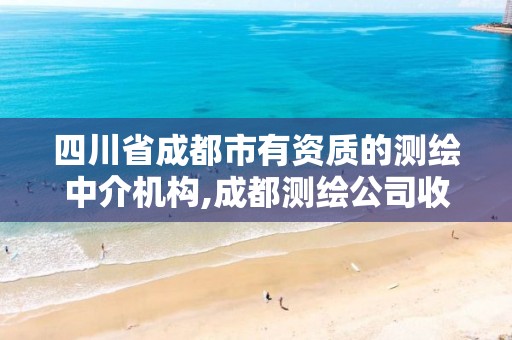 四川省成都市有資質的測繪中介機構,成都測繪公司收費標準。