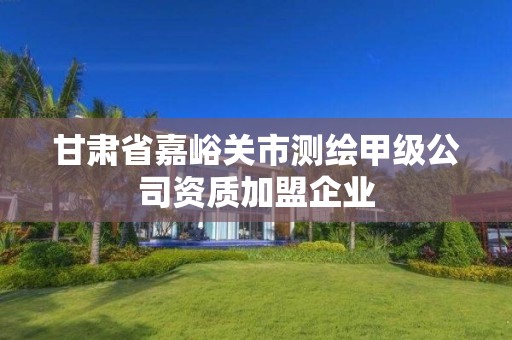 甘肅省嘉峪關市測繪甲級公司資質加盟企業(yè)