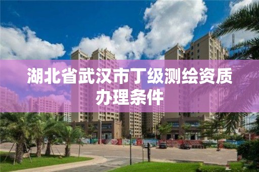 湖北省武漢市丁級測繪資質(zhì)辦理條件