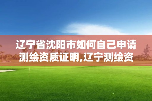 遼寧省沈陽市如何自己申請測繪資質證明,遼寧測繪資質查詢。