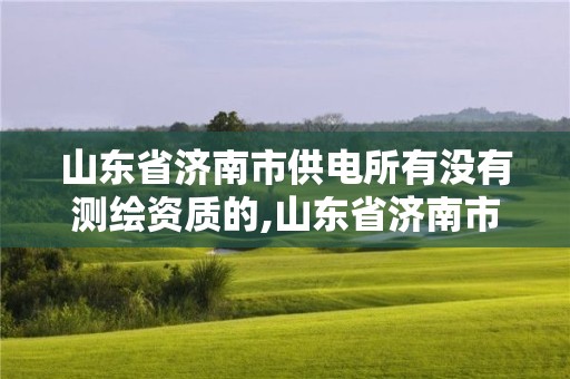 山東省濟南市供電所有沒有測繪資質的,山東省濟南市供電所有沒有測繪資質的企業。