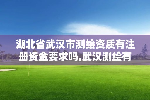 湖北省武漢市測繪資質有注冊資金要求嗎,武漢測繪有限公司。