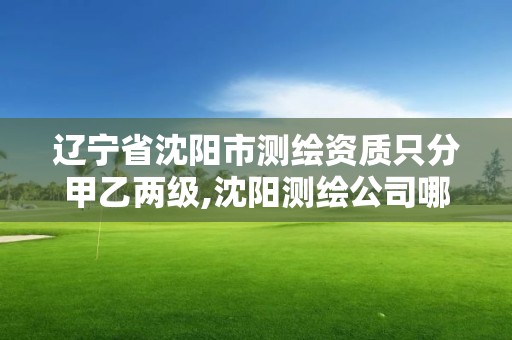 遼寧省沈陽市測繪資質只分甲乙兩級,沈陽測繪公司哪家強哪家好。