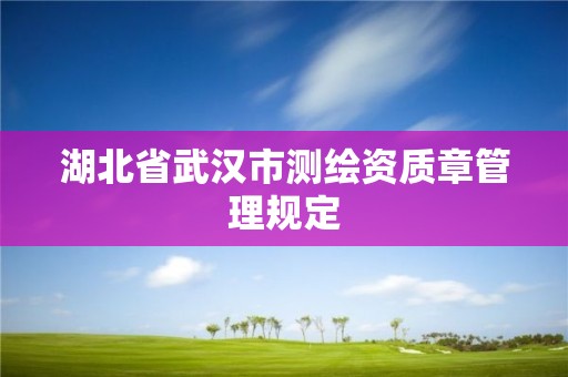 湖北省武漢市測繪資質章管理規定