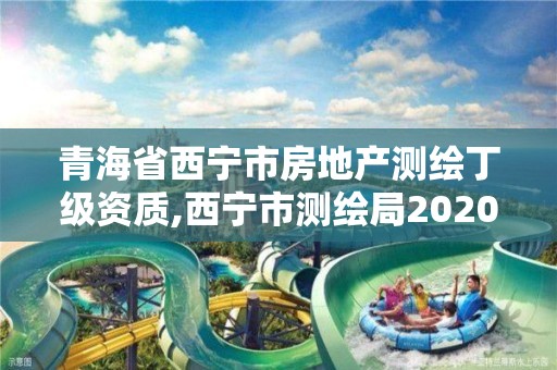 青海省西寧市房地產測繪丁級資質,西寧市測繪局2020招聘。