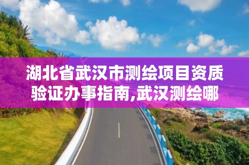 湖北省武漢市測繪項目資質驗證辦事指南,武漢測繪哪些單位比較好。