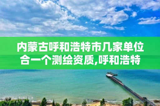 內蒙古呼和浩特市幾家單位合一個測繪資質,呼和浩特市工程測量招聘信息。