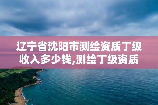 遼寧省沈陽市測繪資質丁級收入多少錢,測繪丁級資質條件。