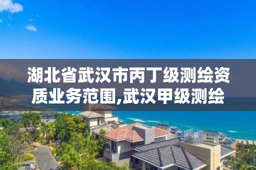 湖北省武漢市丙丁級測繪資質業務范圍,武漢甲級測繪資質名錄。