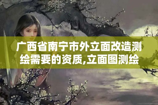 廣西省南寧市外立面改造測繪需要的資質(zhì),立面圖測繪收費標準。