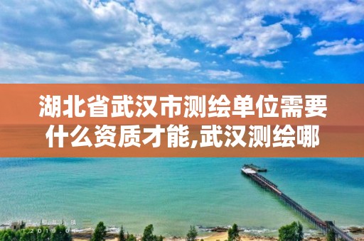 湖北省武漢市測繪單位需要什么資質才能,武漢測繪哪些單位比較好。