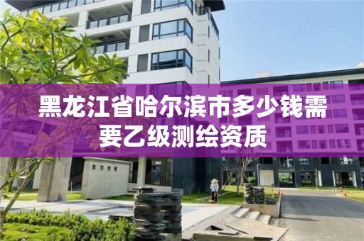 黑龍江省哈爾濱市多少錢需要乙級測繪資質