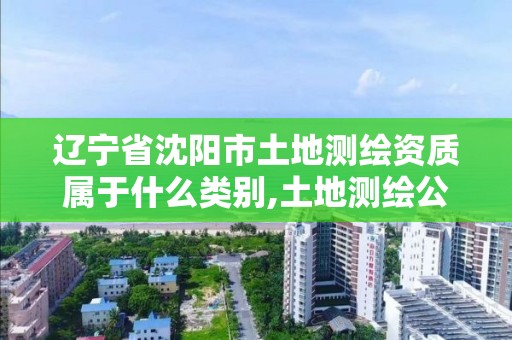 遼寧省沈陽市土地測繪資質屬于什么類別,土地測繪公司屬于什么公司。