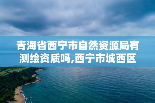 青海省西寧市自然資源局有測繪資質嗎,西寧市城西區測繪院。