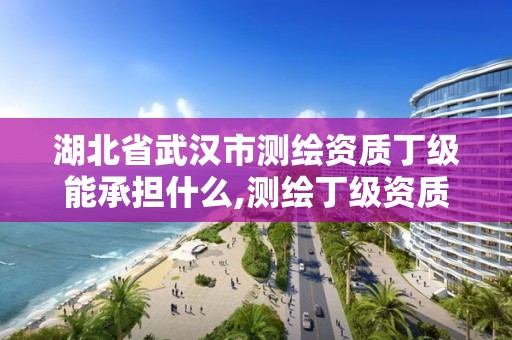 湖北省武漢市測繪資質丁級能承擔什么,測繪丁級資質承接范圍。