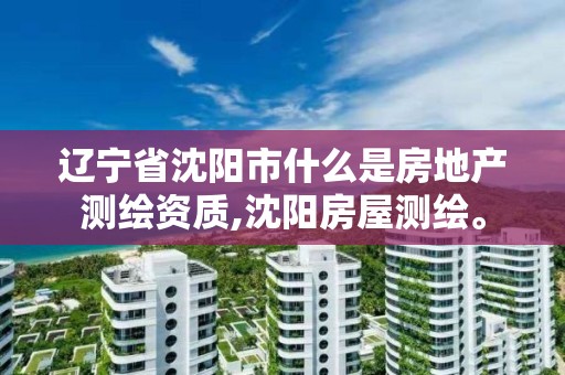 遼寧省沈陽市什么是房地產測繪資質,沈陽房屋測繪。