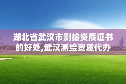 湖北省武漢市測繪資質證書的好處,武漢測繪資質代辦。