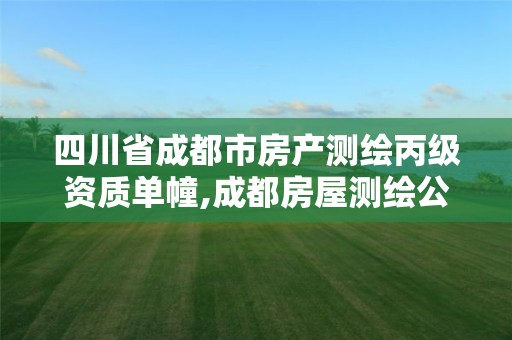 四川省成都市房產測繪丙級資質單幢,成都房屋測繪公司排名。