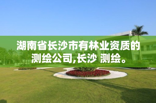 湖南省長沙市有林業資質的測繪公司,長沙 測繪。