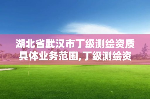 湖北省武漢市丁級(jí)測(cè)繪資質(zhì)具體業(yè)務(wù)范圍,丁級(jí)測(cè)繪資質(zhì)業(yè)務(wù)范圍有哪些。