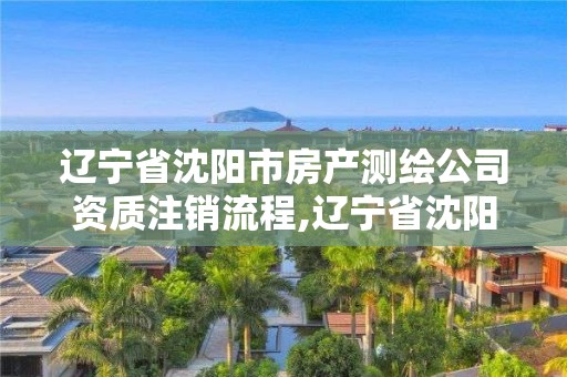 遼寧省沈陽市房產測繪公司資質注銷流程,遼寧省沈陽市房產測繪公司資質注銷流程圖。