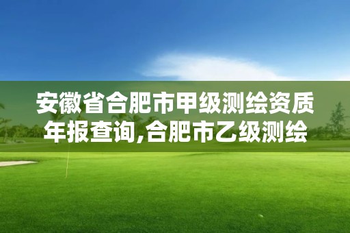 安徽省合肥市甲級測繪資質年報查詢,合肥市乙級測繪公司。