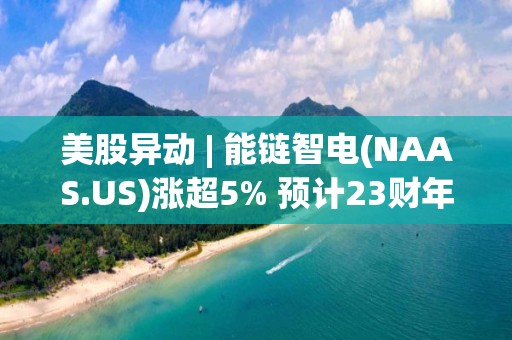 美股異動 | 能鏈智電(NAAS.US)漲超5% 預計23財年凈收入將在5-6億元人民幣之間